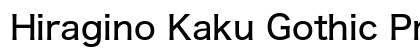 Hiragino Kaku Gothic ProN W5 Preview