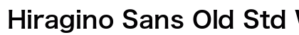 Hiragino Sans Old Std W6 preview