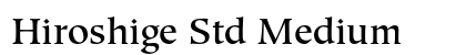 Hiroshige Std Medium preview