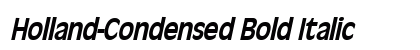 Holland-Condensed Bold Italic Preview