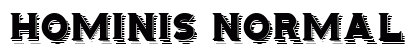 Hominis Normal preview