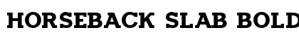 Horseback Slab Bold preview