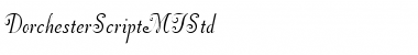 Dorchester Script MT Std Regular Font