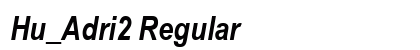 Hu_Adri2 Regular preview