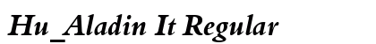 Hu_Aladin It Regular preview