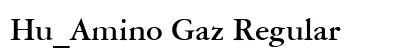 Hu_Amino Gaz Regular preview