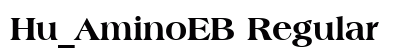 Hu_AminoEB Regular preview