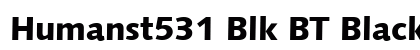 Humanst531 Blk BT Black preview