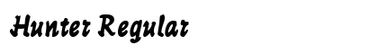 Hunter Regular Font