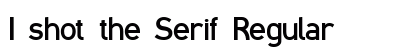 I shot the Serif Regular preview