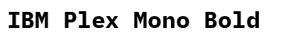 IBM Plex Mono Bold preview