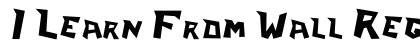 I Learn From Wall Regular preview