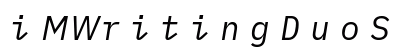iMWritingDuoS Nerd Font Mono Italic Preview