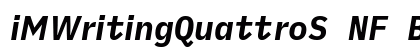 iMWritingQuattroS NF Bold Italic Preview