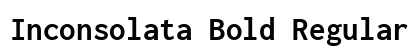 Inconsolata Bold Regular preview