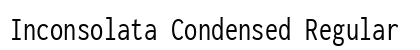 Inconsolata Condensed Regular Preview