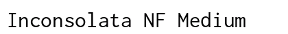Inconsolata NF Medium preview