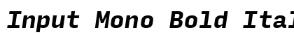 Input Mono Bold Italic Preview