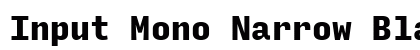 Input Mono Narrow Black preview