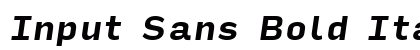 Input Sans Bold Italic Preview