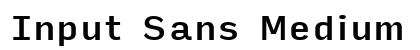 Input Sans Medium Preview