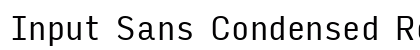 Input Sans Condensed Regular Preview
