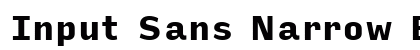 Input Sans Narrow Black preview