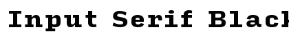 Input Serif Black preview