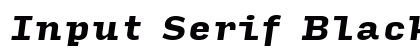 Input Serif Black Italic Preview