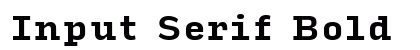 Input Serif Bold preview