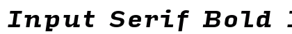 Input Serif Bold Italic Preview