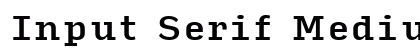 Input Serif Medium Preview