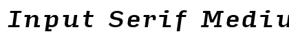 Input Serif Medium Italic Preview