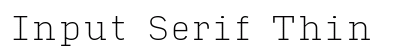 Input Serif Thin Preview