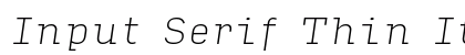 Input Serif Thin Italic Preview