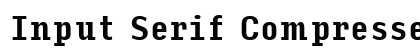 Input Serif Compressed Bold preview