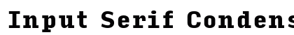 Input Serif Condensed Black preview
