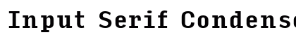 Input Serif Condensed Bold preview