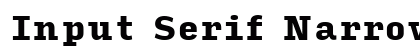 Input Serif Narrow Black preview