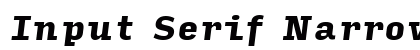 Input Serif Narrow Black Italic Preview