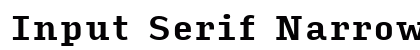 Input Serif Narrow Bold preview