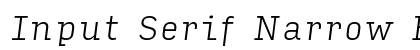 Input Serif Narrow Extra Light Italic Preview