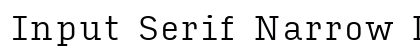 Input Serif Narrow Light Preview