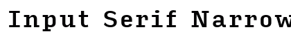 Input Serif Narrow Medium Preview