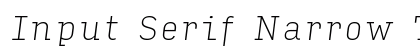 Input Serif Narrow Thin Italic Preview