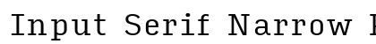 Input Serif Narrow Regular Preview