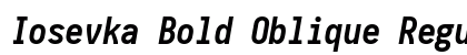 Iosevka Bold Oblique Regular preview