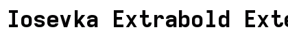 Iosevka Extrabold Extended Regular preview