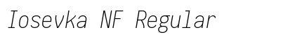 Iosevka NF Regular Preview