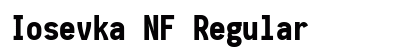 Iosevka NF Regular Preview